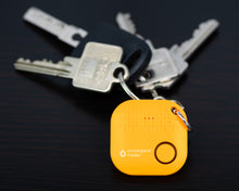 Lade das Bild in den Galerie-Viewer, musegear finder 2 (orange)